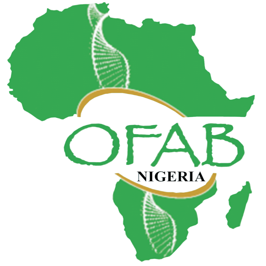 OFAB 2024 MEDIA AWARD: MINISTER TASKS JOURNALISTS ON AFRICA'S 2063 ...